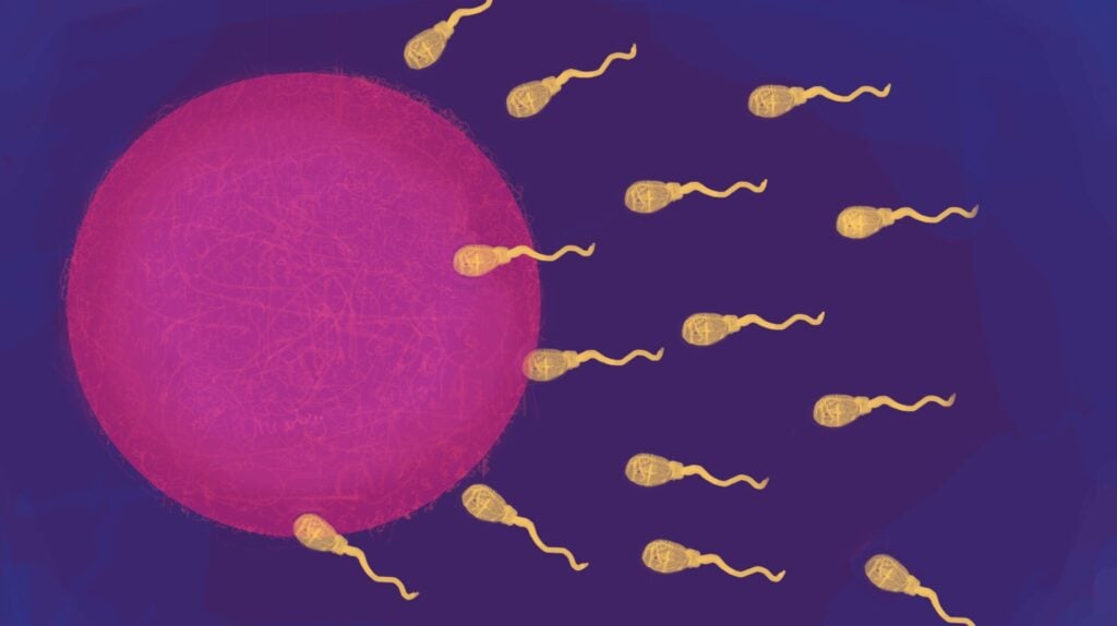 Illustration: Maria Mellor (CC BY 2.0)