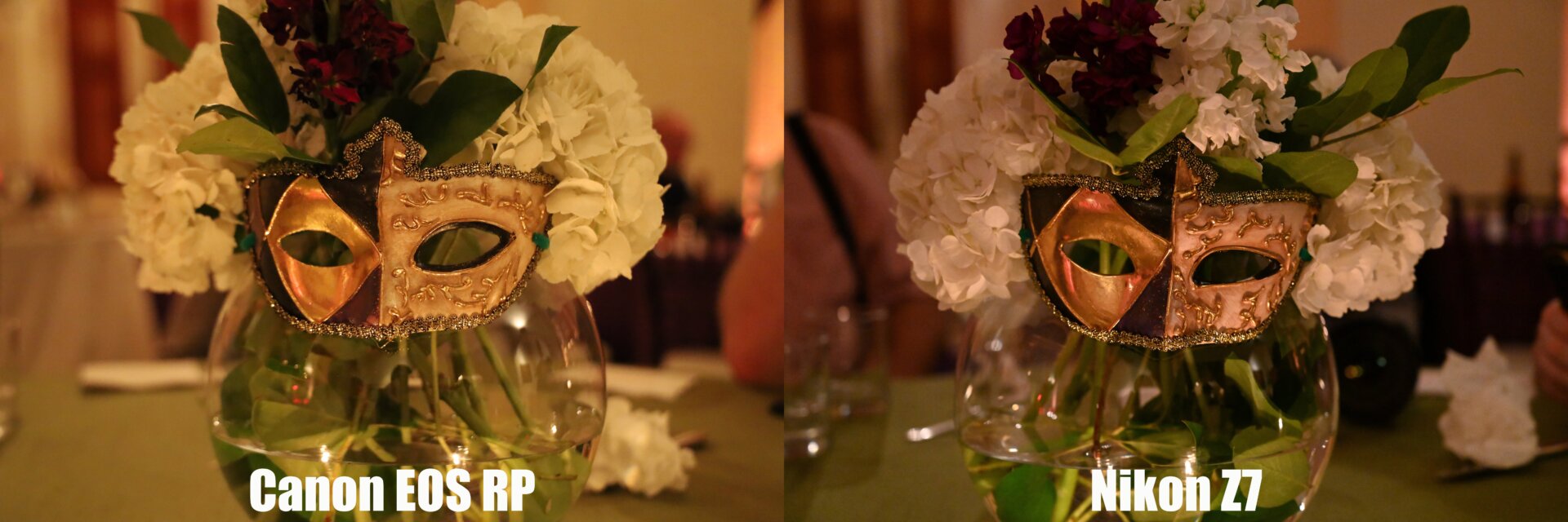 The EOS RP’s shot is a little too yellow, but the bigger problem is that with both cameras on auto, the Canon went up to ISO 12,800 versus ISO 7,200 for the Nikon Z7. (Click to enlarge)