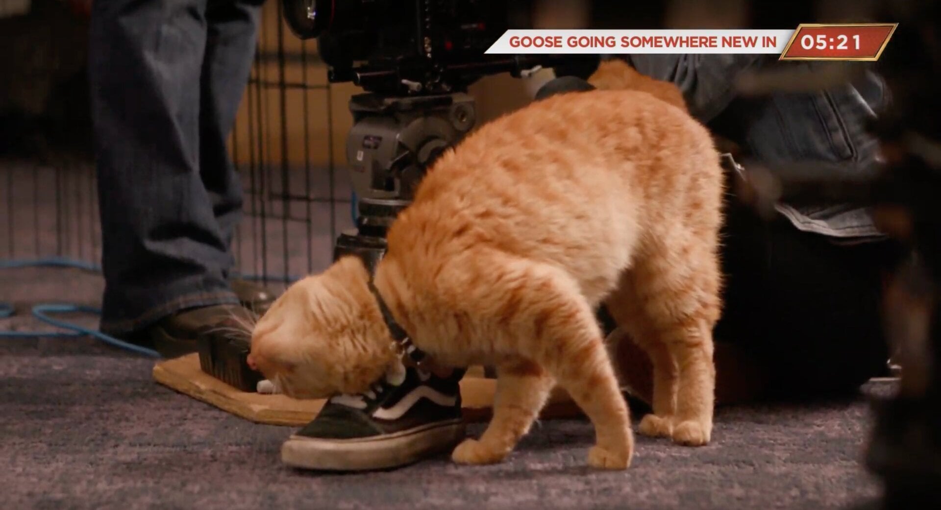 Screenshot: All images via Marvel