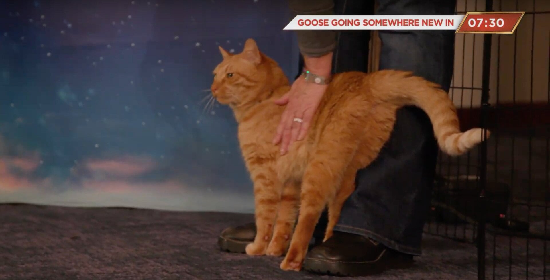 Screenshot: All images via Marvel