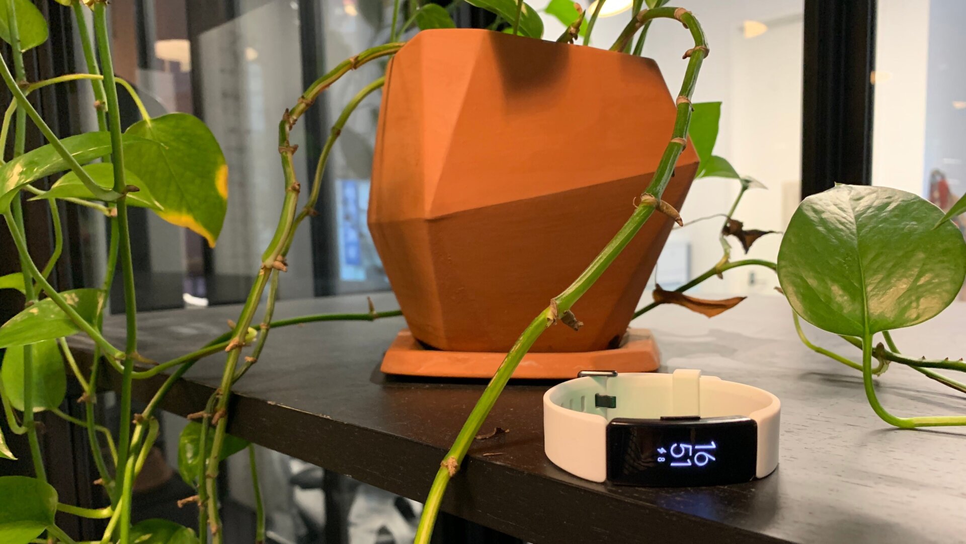 The design here is incredibly fine, but nothing to write home about.