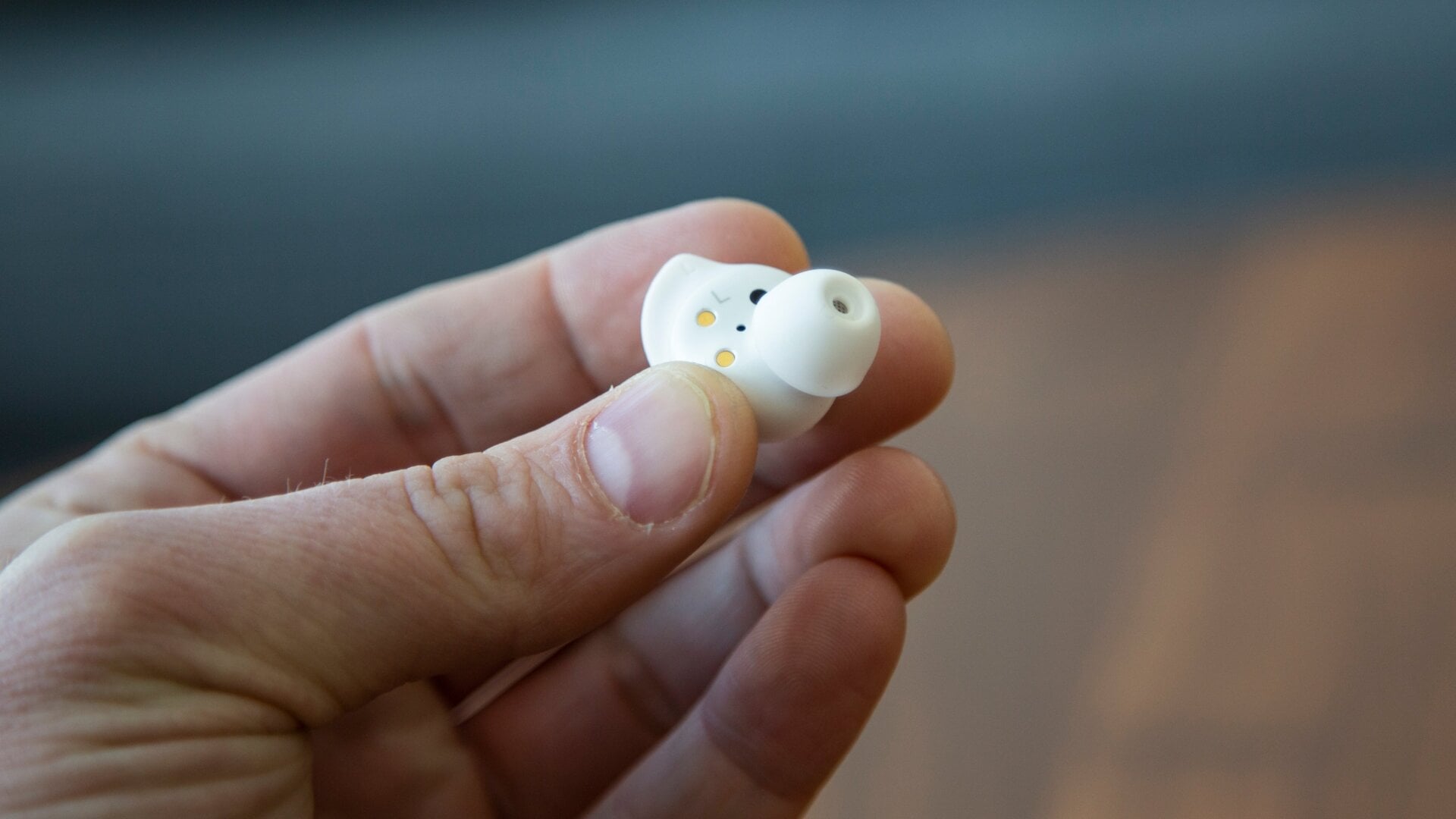 Photo: Adam Clark Estes