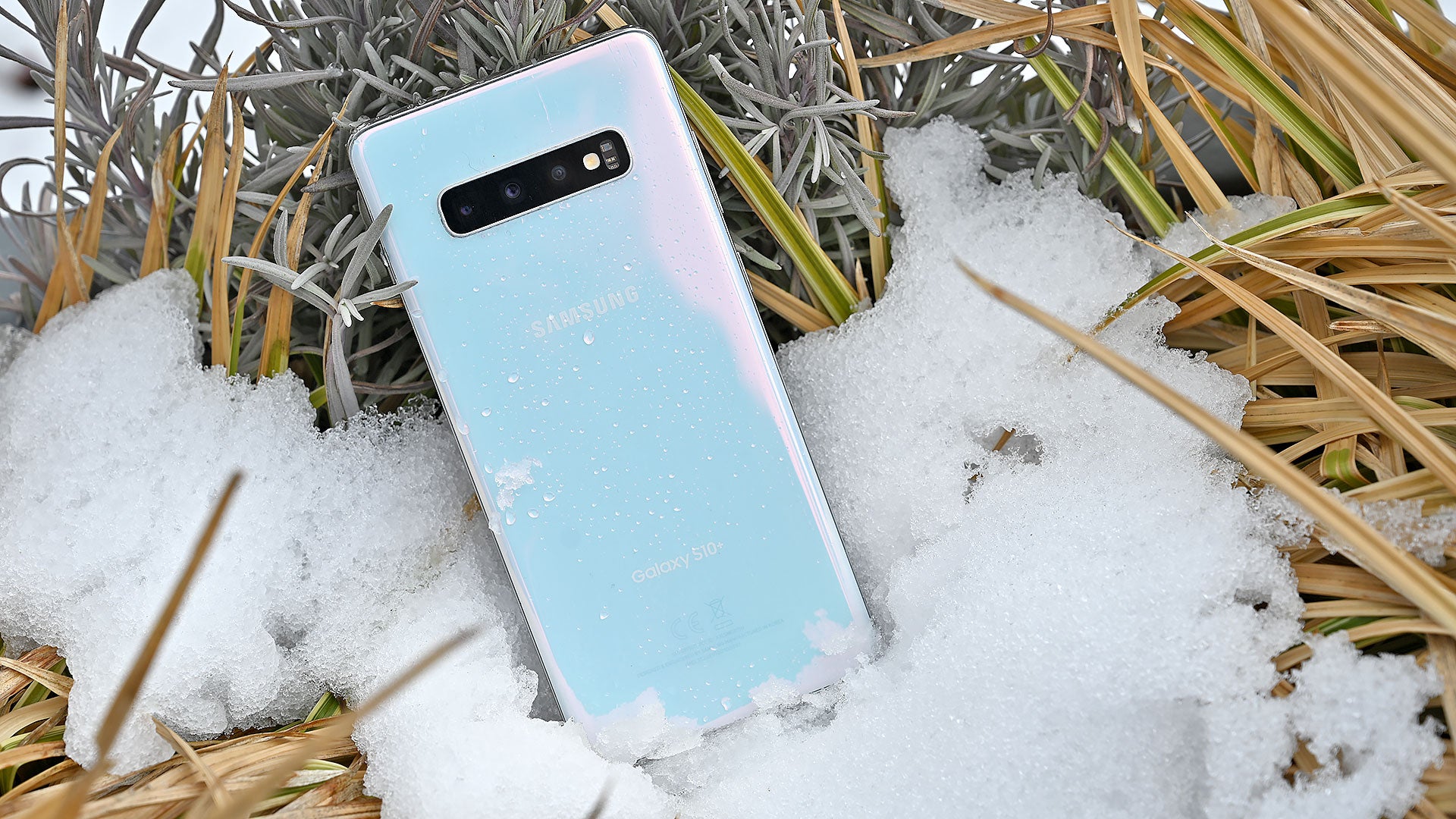 Photo: Sam Rutherford