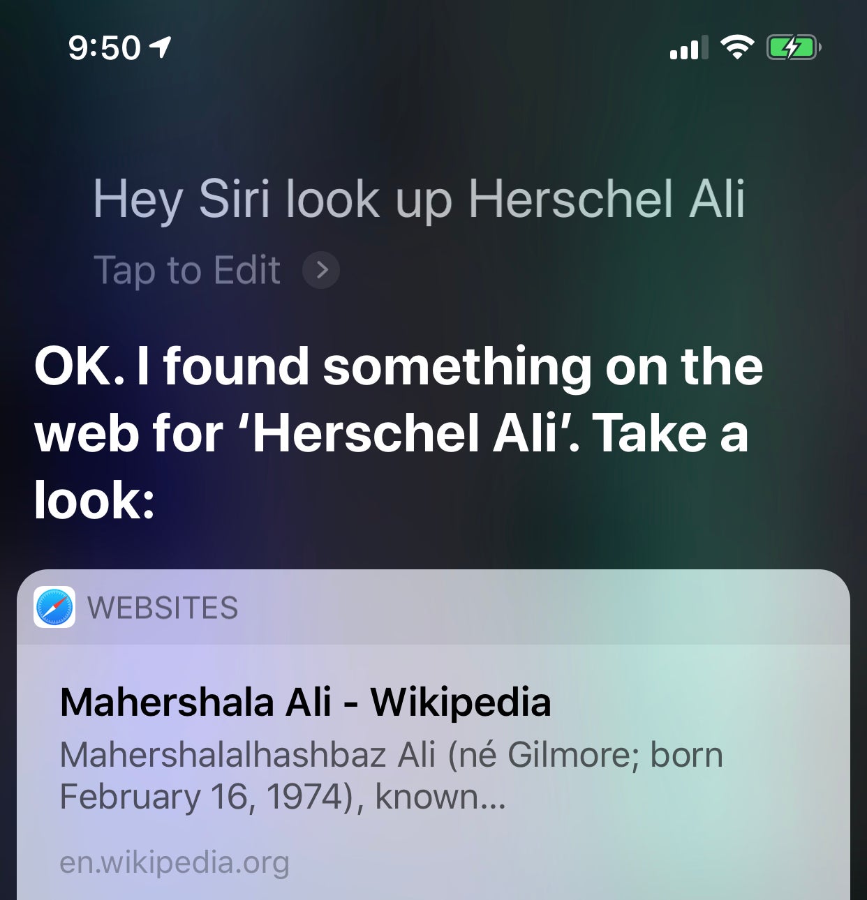 Screenshot: Victoria Song
