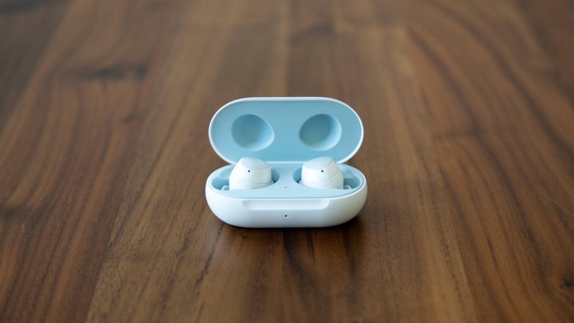 Photo: Adam Clark Estes