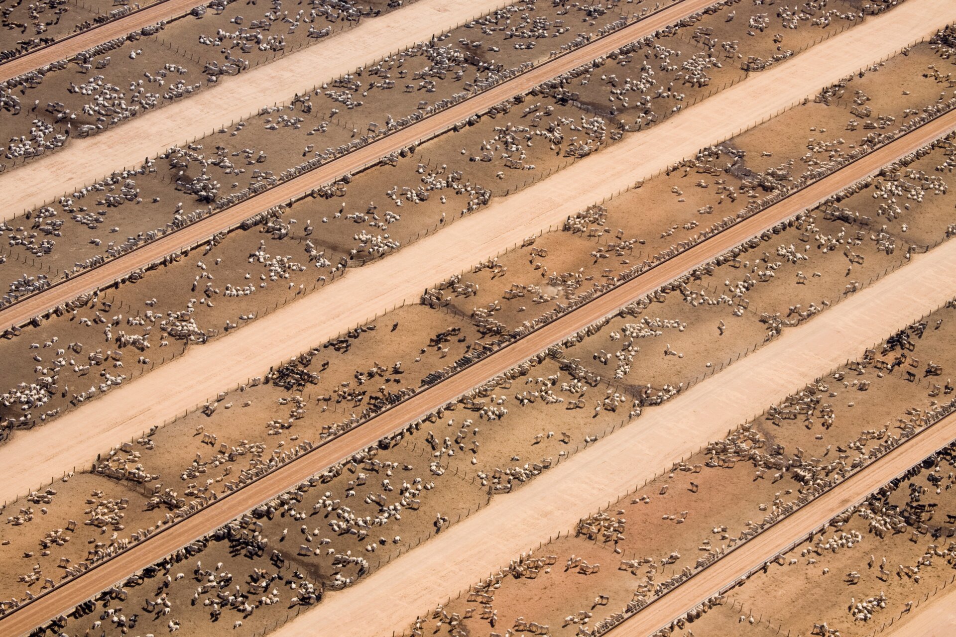 Photo: Daniel Beltrá courtesy of Atmos