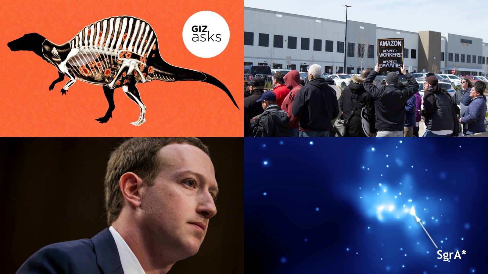 Clockwise from top left: Illustration: Angelica Alzona (Gizmodo); Photo: Bryan Menegus (Gizmodo); Image: NASA (Wikimedia Commons); Photo: Zach Gibson (Getty)