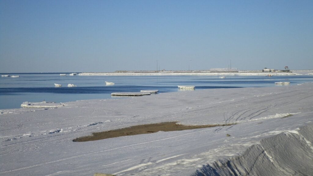 Photo: Courtesy James Menard