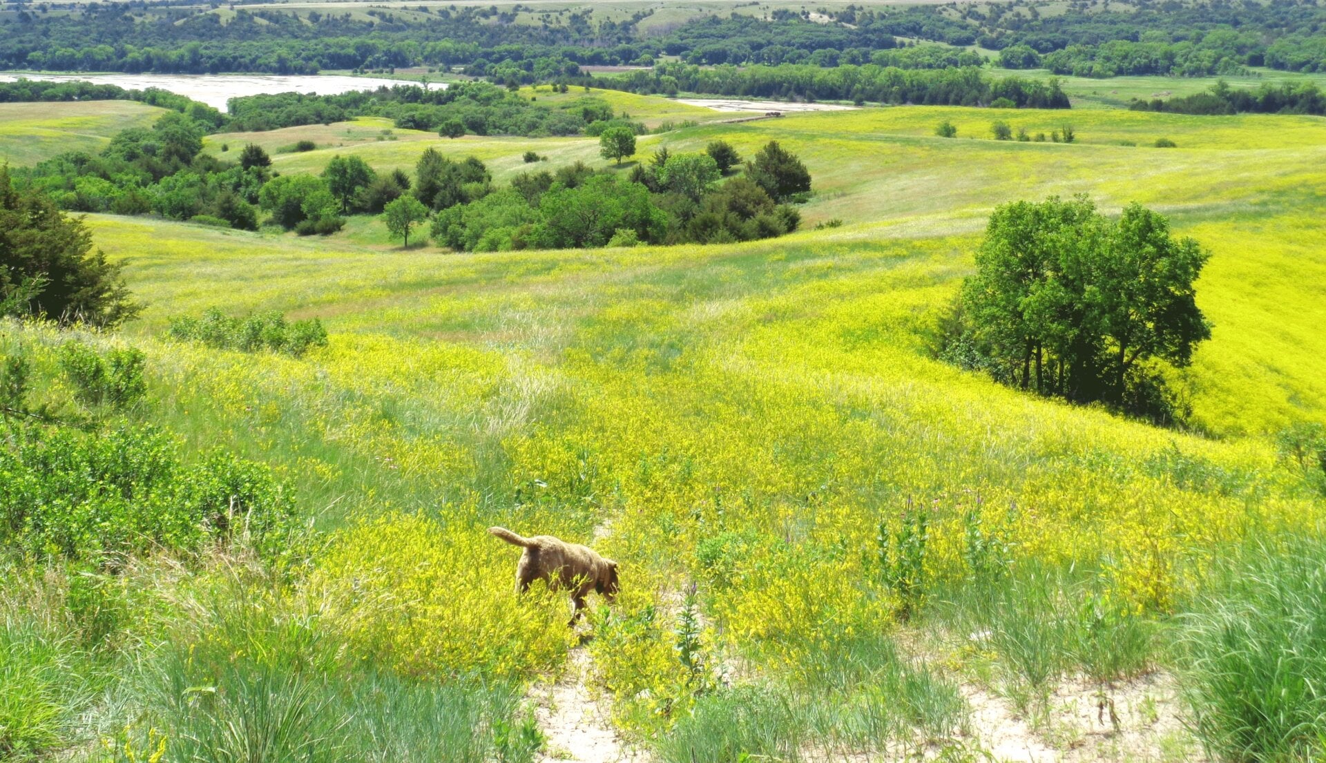 Photo: Karen DeMatteo