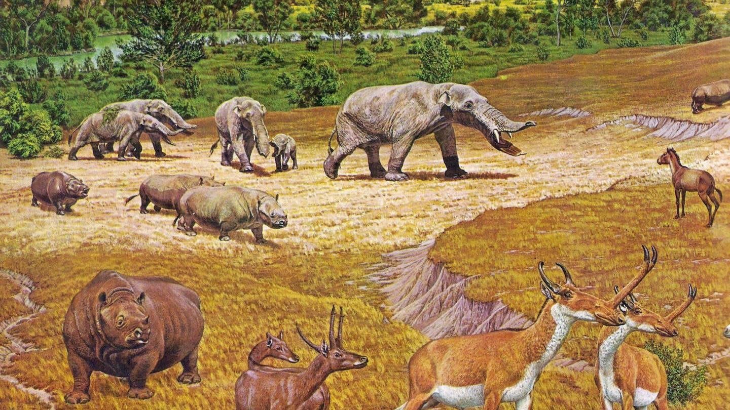 Artist’s interpretation of Texas wildlife some 11 million to 12 million years ago.