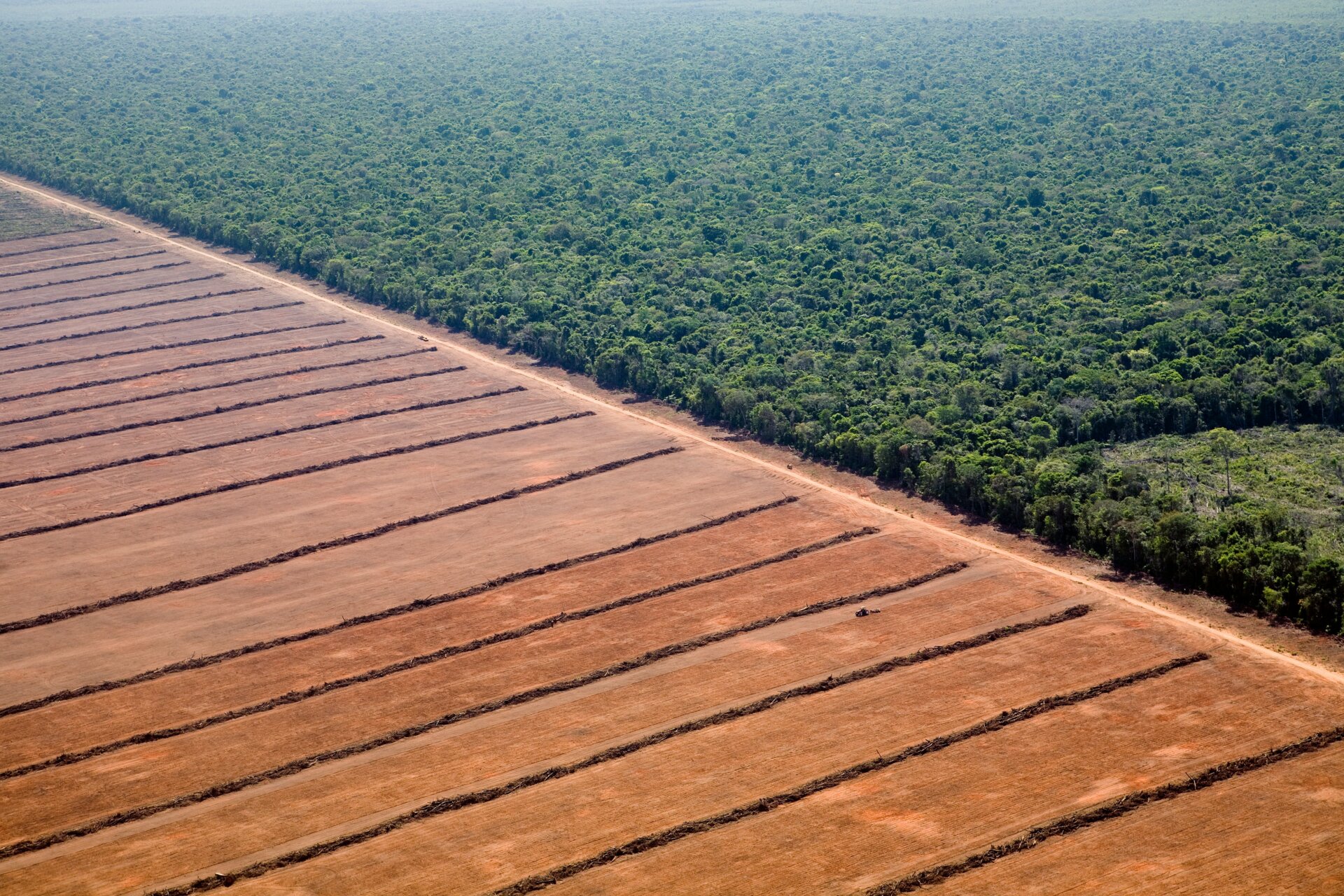 Photo: Daniel Beltrá courtesy of Atmos