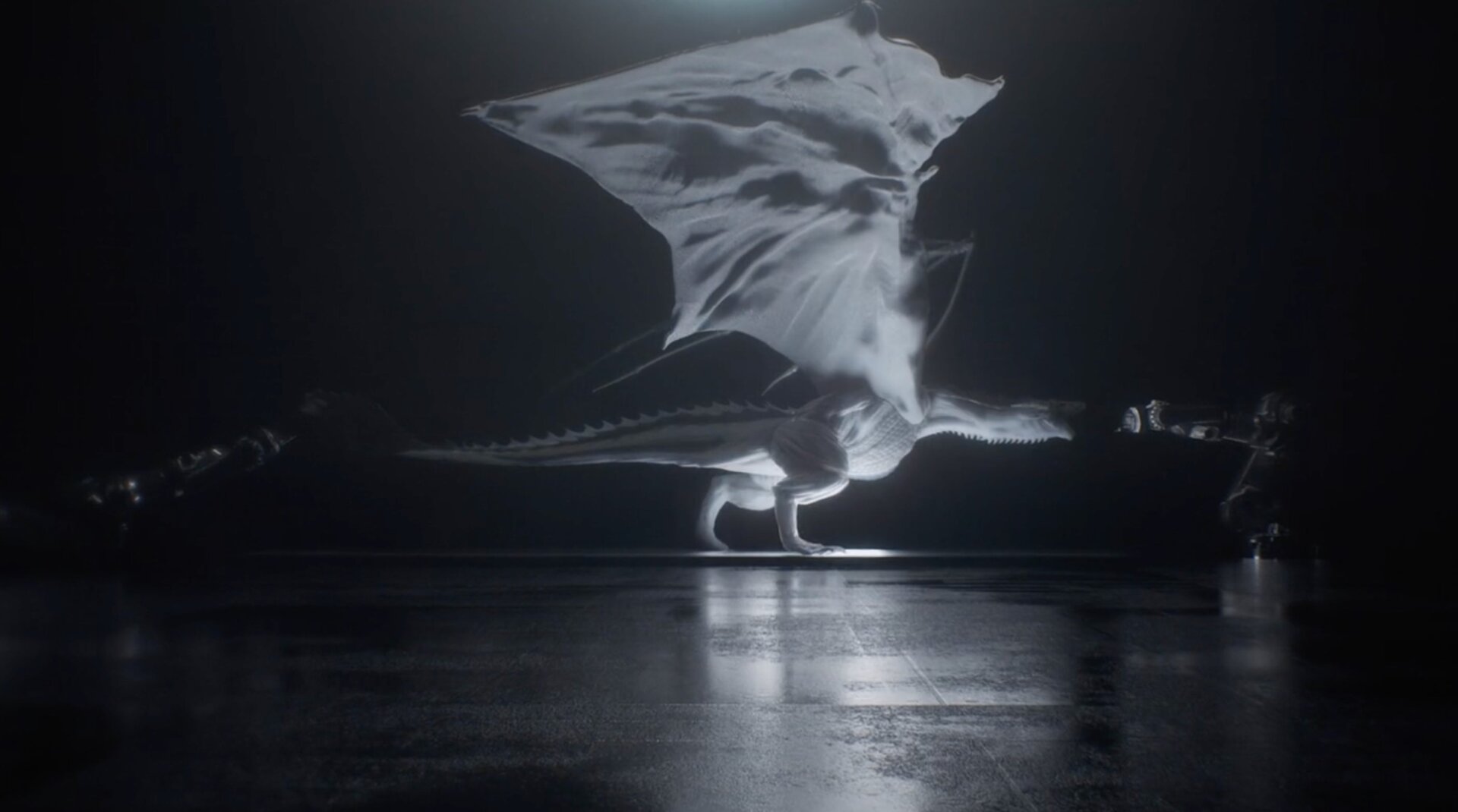 “Dude, you’ve made me walk on my wings. I’m not a wyvern. Do it again.”