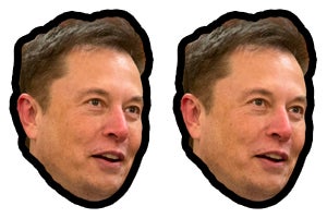 Graphic: Gizmodo/Mark Schiefelbein