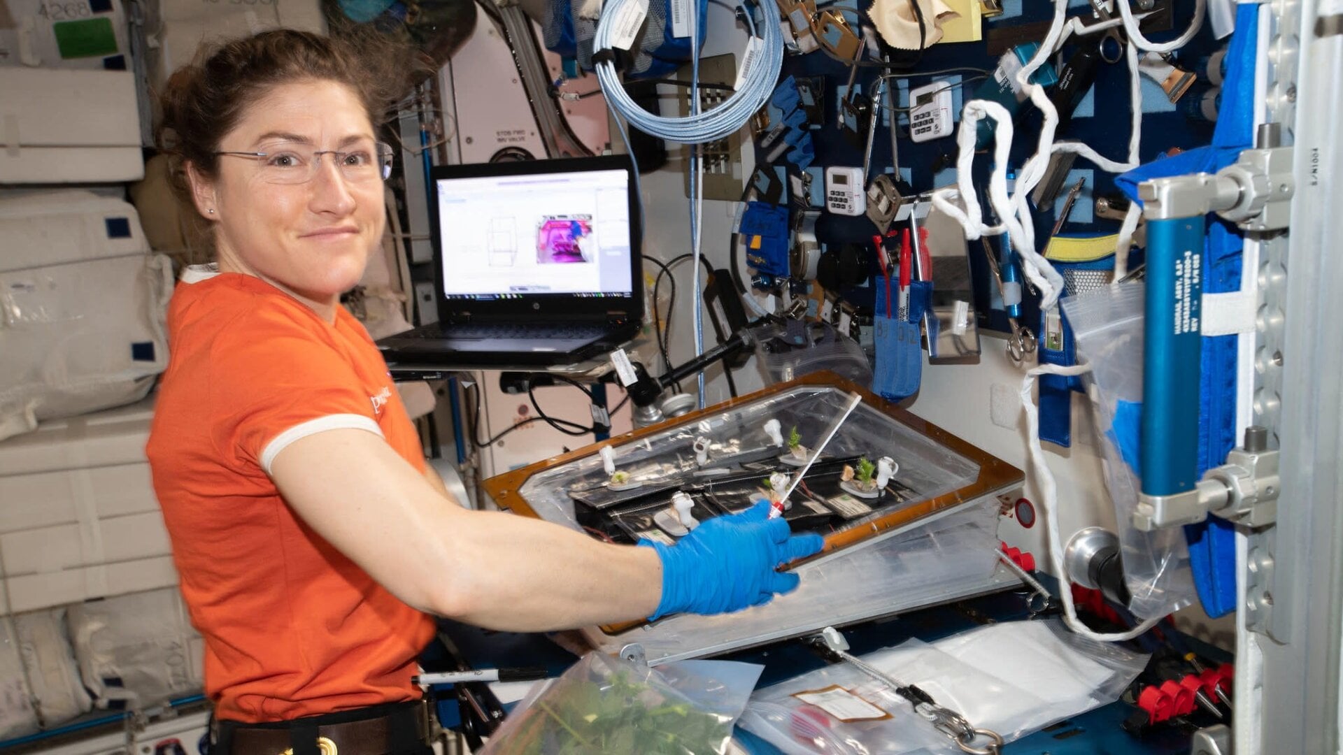 Christina Koch on the ISS.