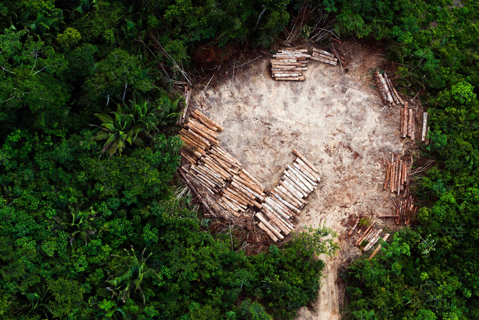 Photo: Daniel Beltrá courtesy of Atmos