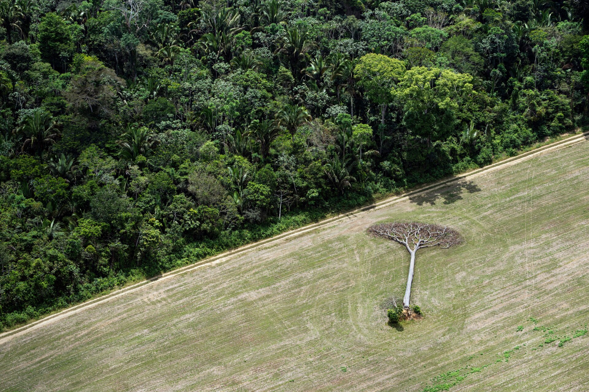 Photo: Daniel Beltrá courtesy of Atmos