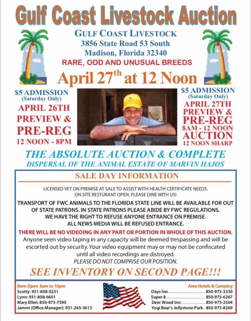 Screenshot: Gulf Coast Livestock Auction