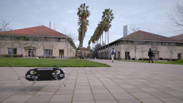 Gif: Stanford University
