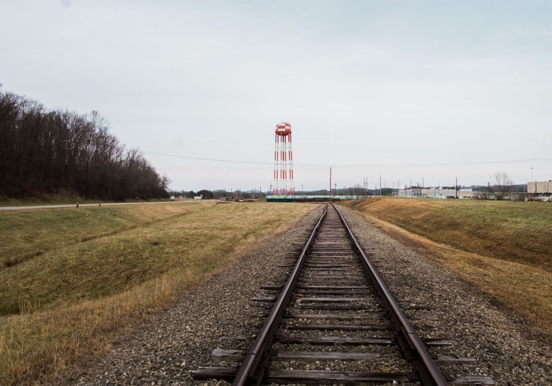 Photo: Matthew Ashton