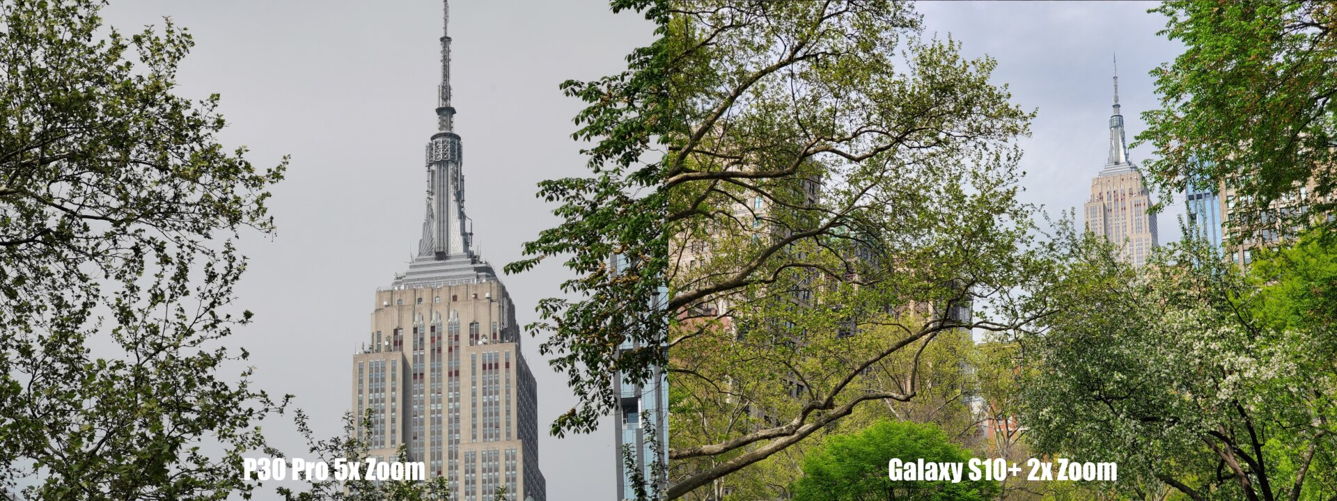 Photo: Sam Rutherford