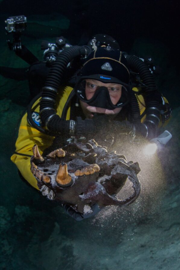 Treasure Trove of Ice Age Animal Remains Found in Submerged Mexican Cave
