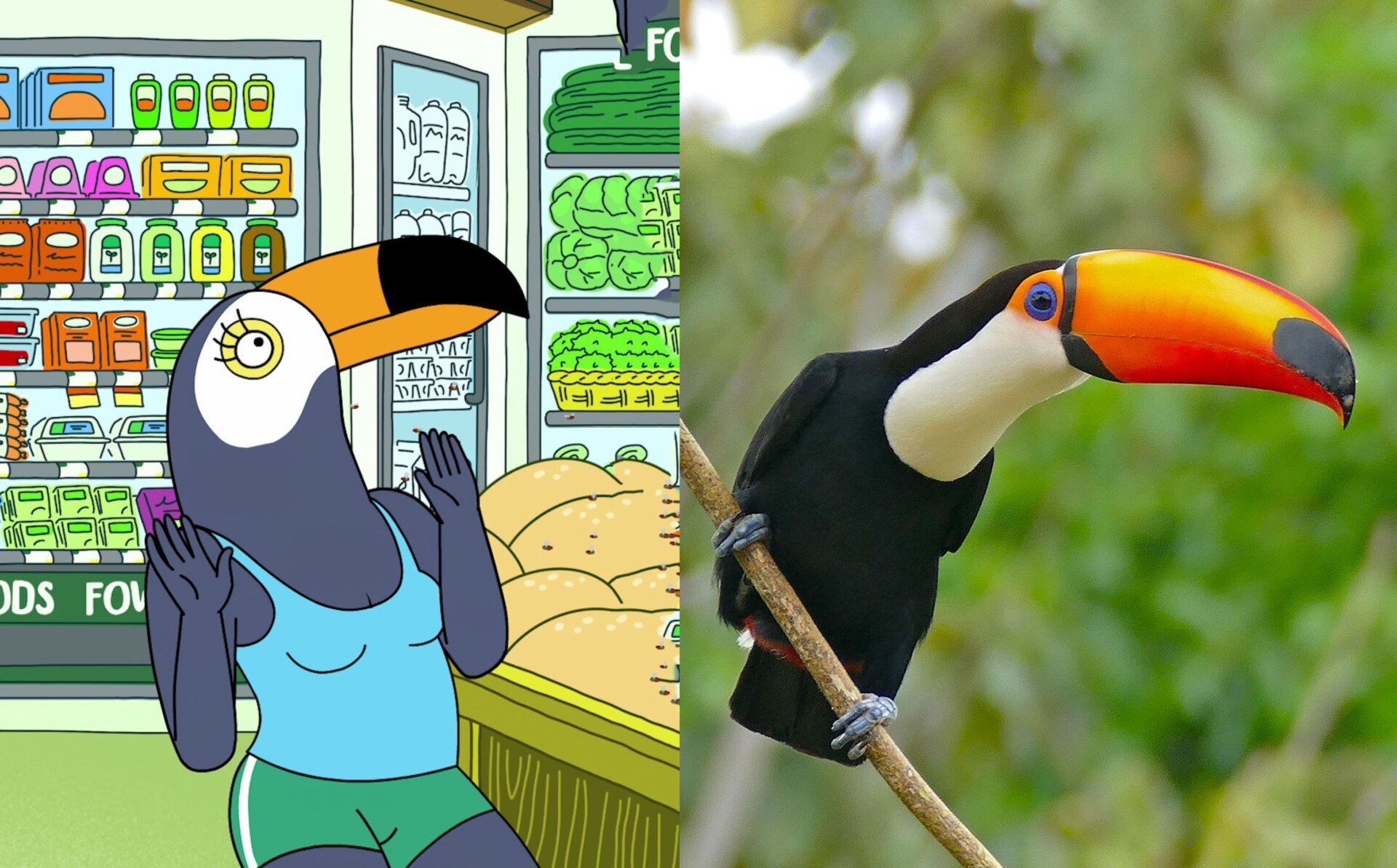 Image: Netflix/Bernard Dupont