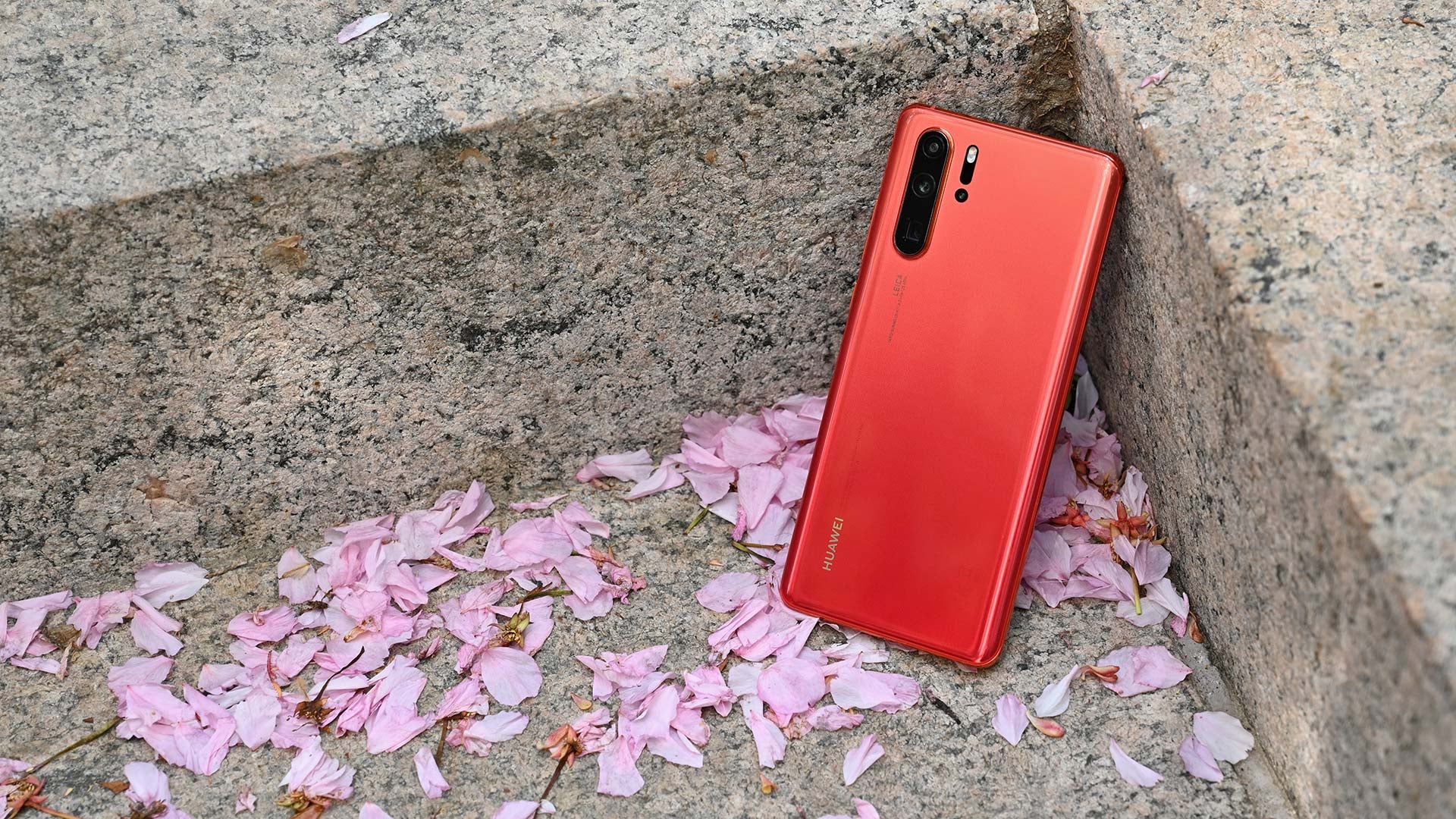 Photo: Sam Rutherford