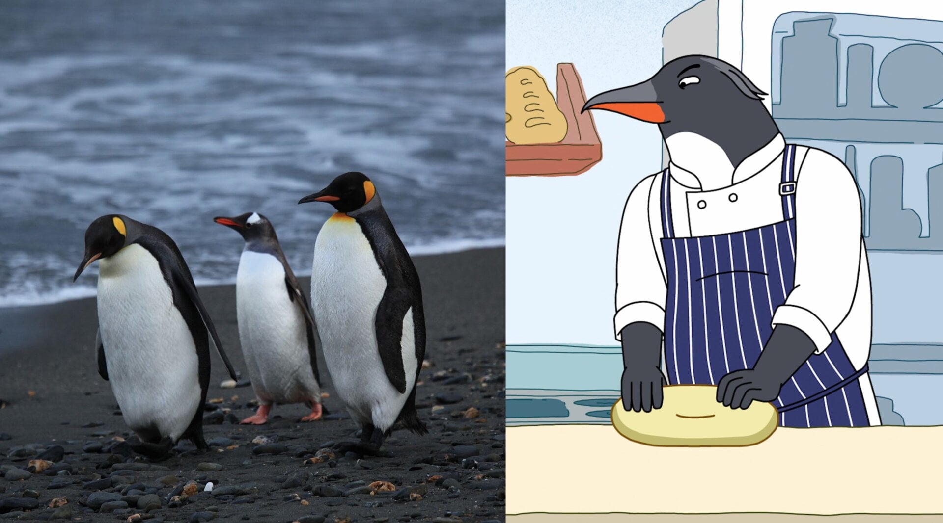 Image: Liam Quinn/Netflix