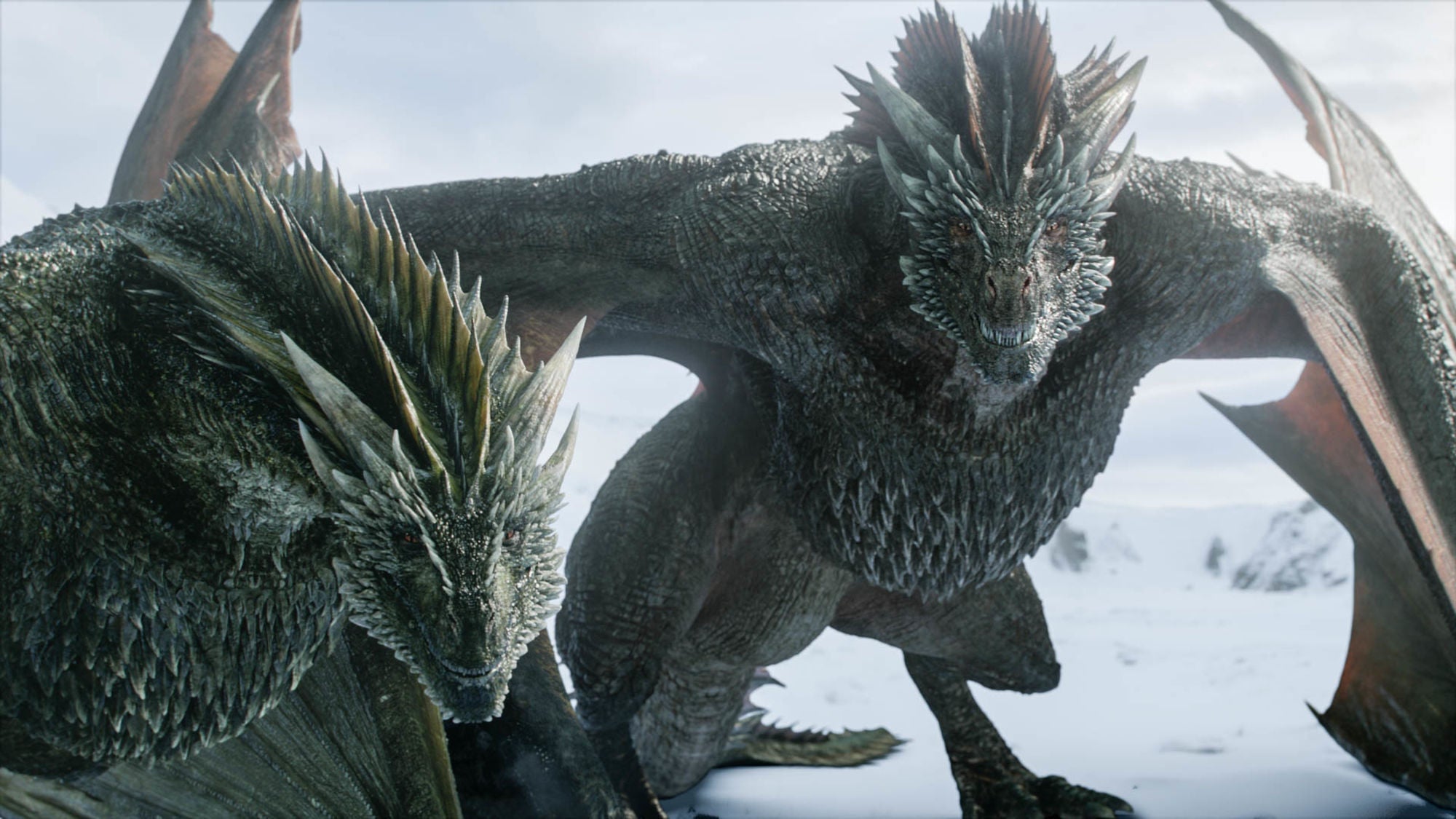 Rhaegal and Drogon.