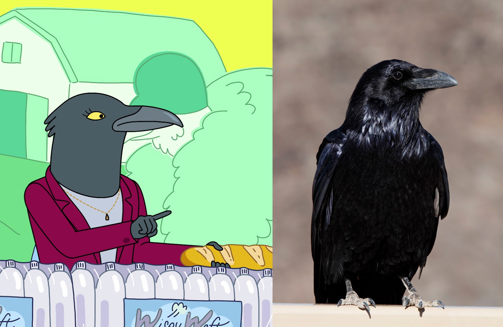 Image: Netflix/Alan Vernon