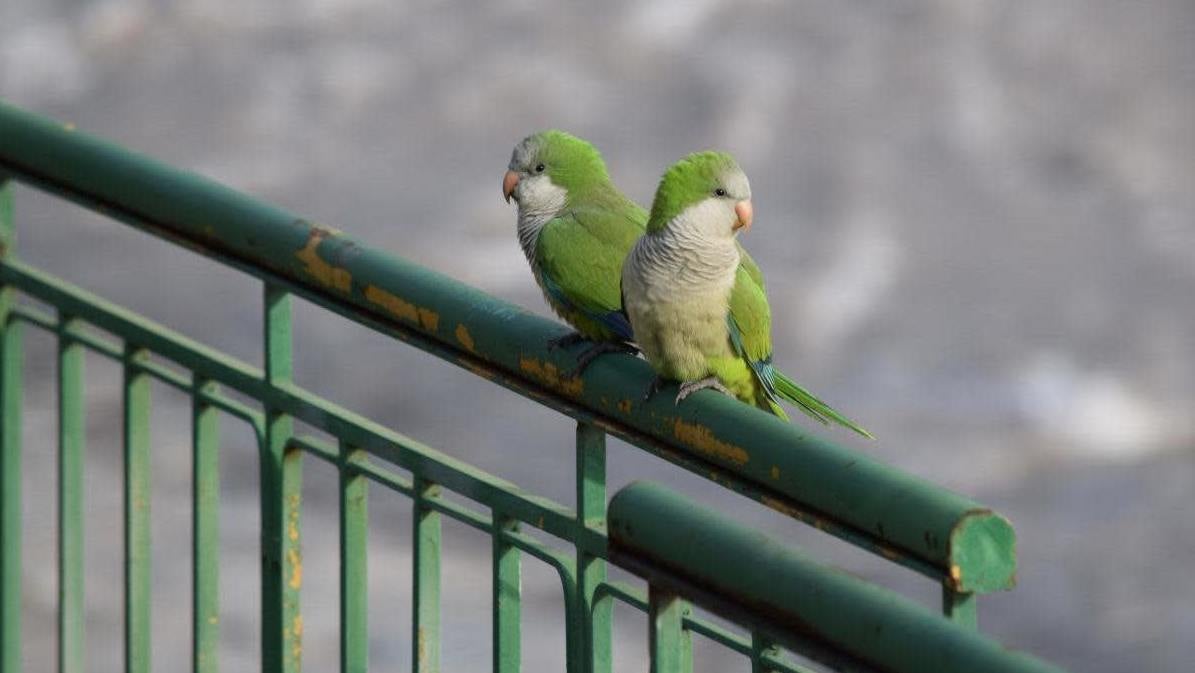 Photo: Jennifer Uehling