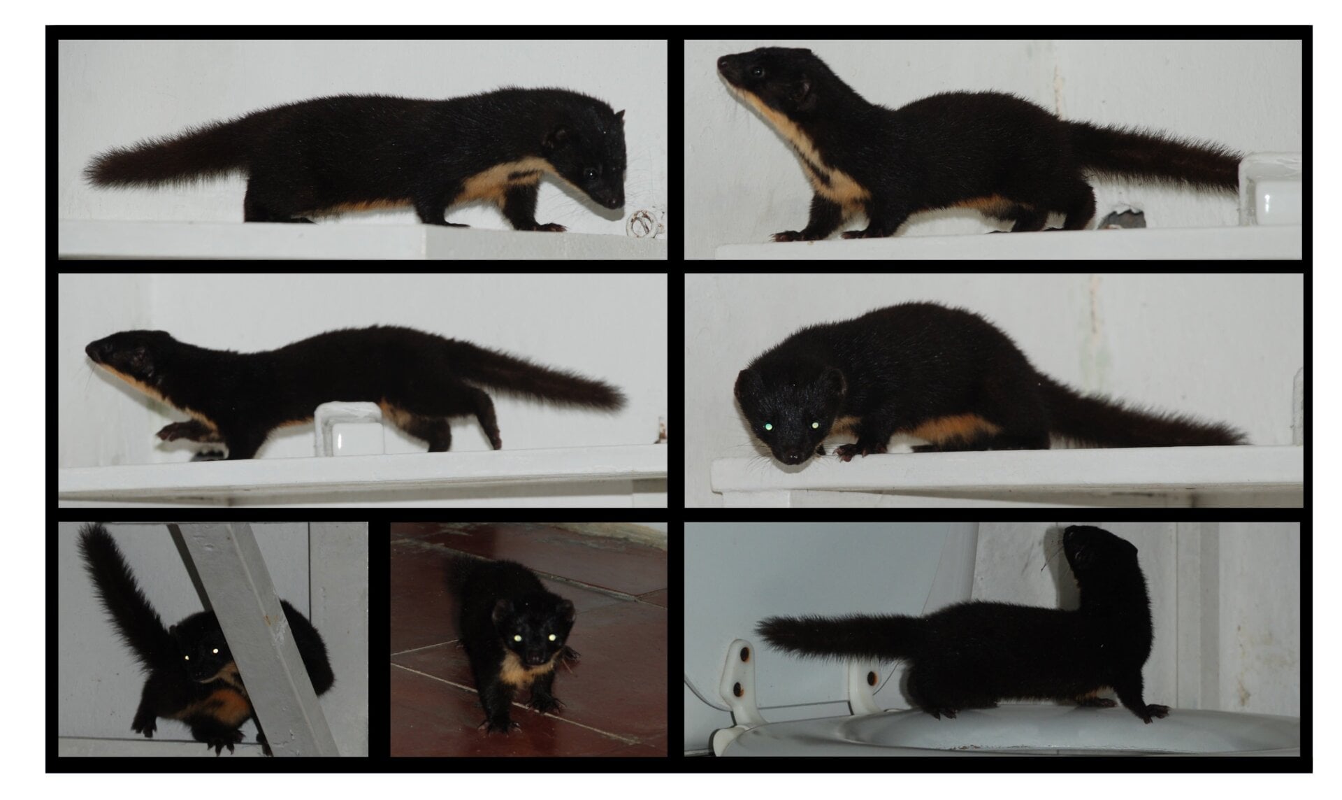 Photo: Juan M. de Roux