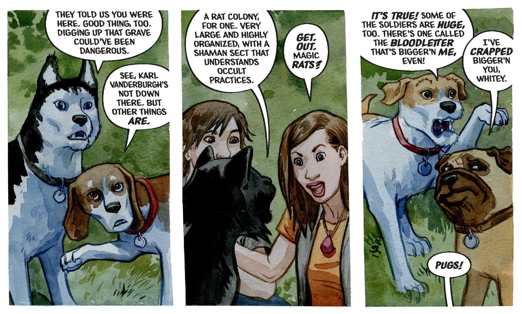 Image: Jill Thompson