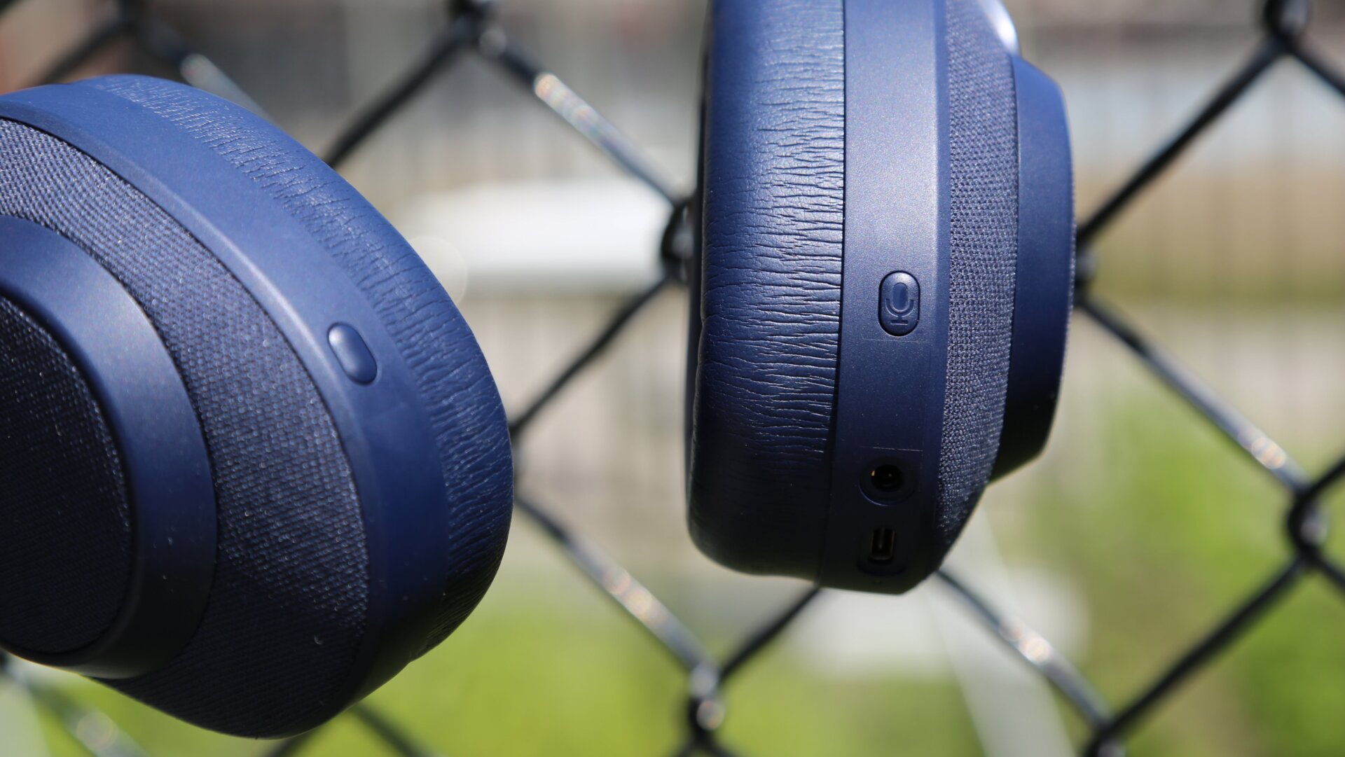 Photo: Adam Clark Estes