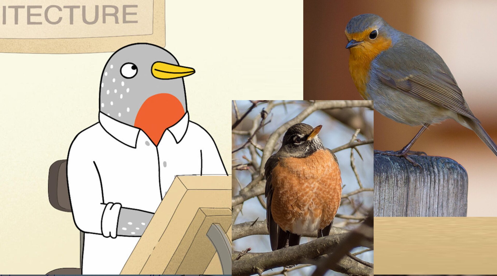 Image: Netflix/Rhododendrites/Pierre Selim