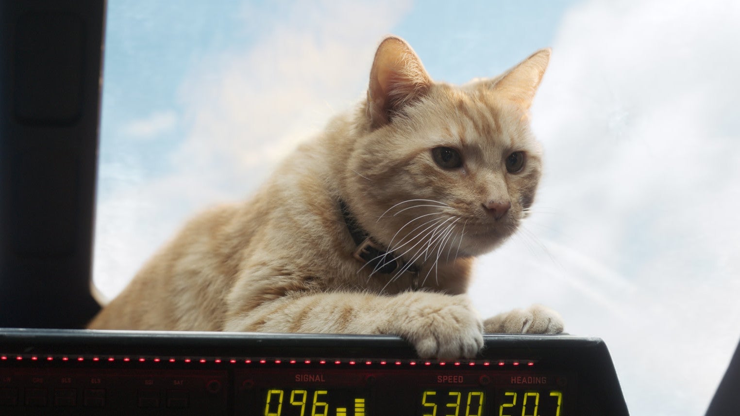 Welcome to ioGoose, where we cover all things Goose and that’s it.