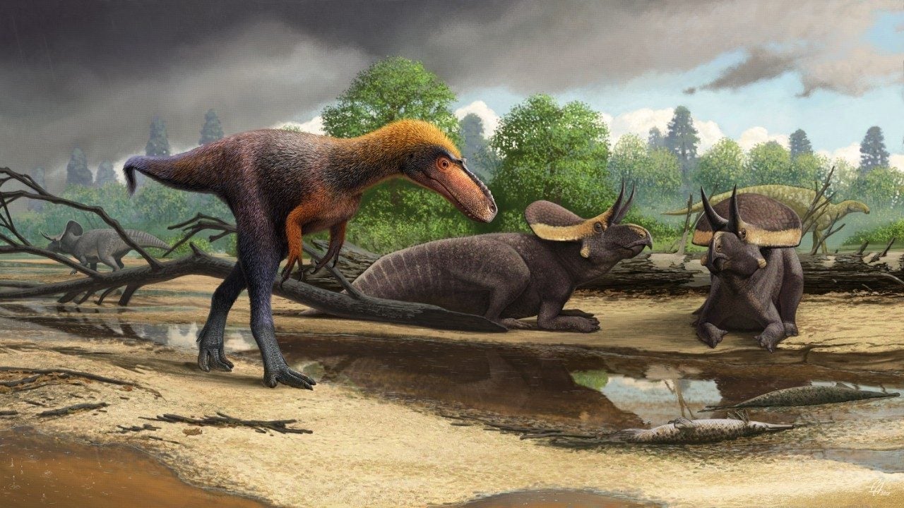 Artist’s depiction of Suskityrannus hazelae.