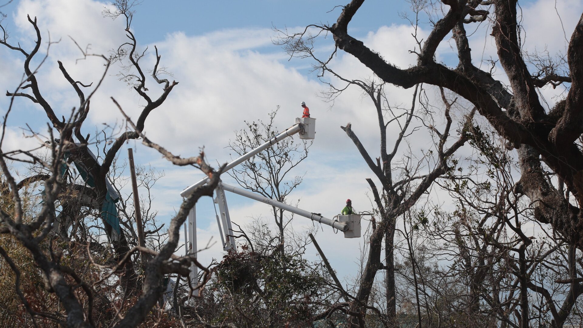 Utility workers clear a path for new electrical cable after the line was damaged by Hurricane Michael on October 20, 2018 in Panama City, Florida.