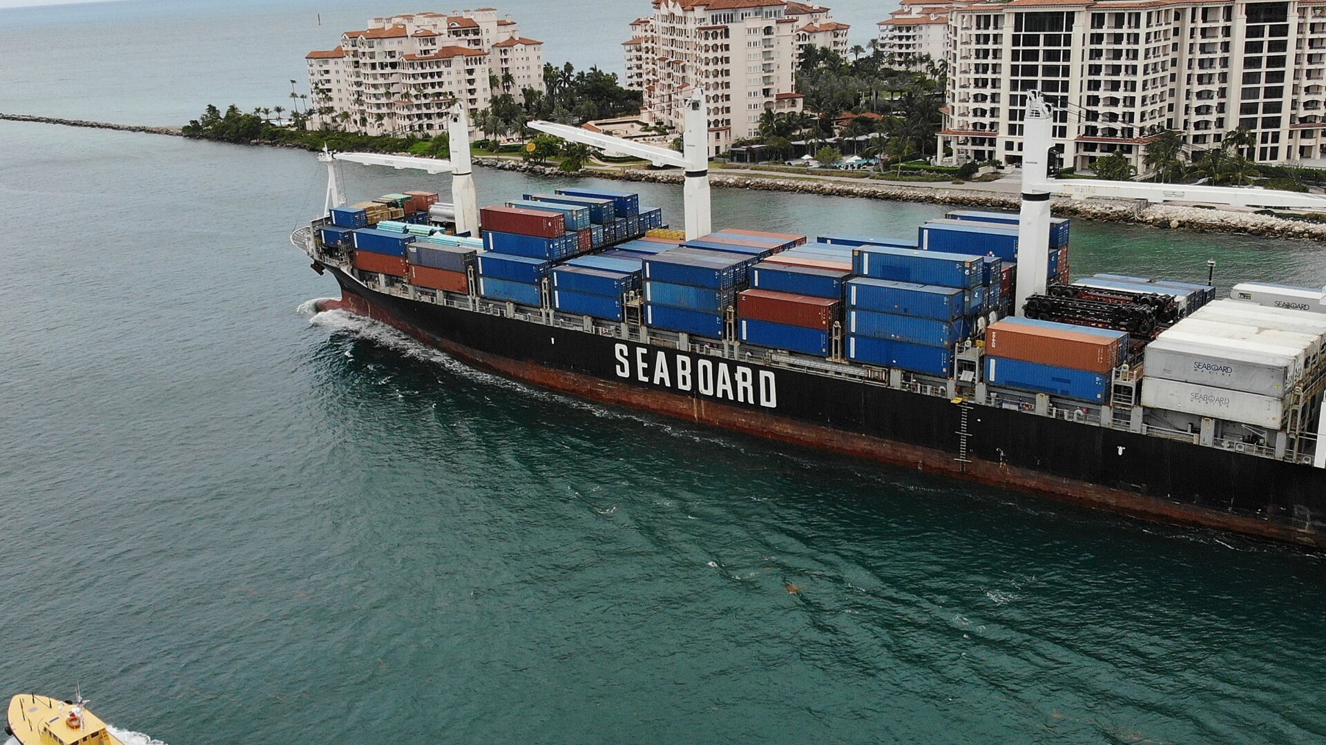 All these corals died near the Port of Miami—all to expand the channel and allow in bigger ships.