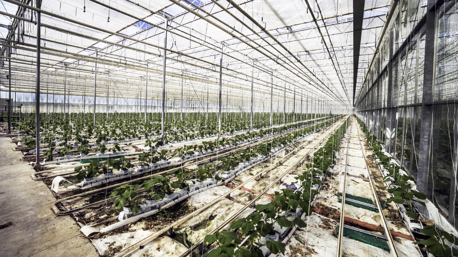 Photo: Courtesy of HBO