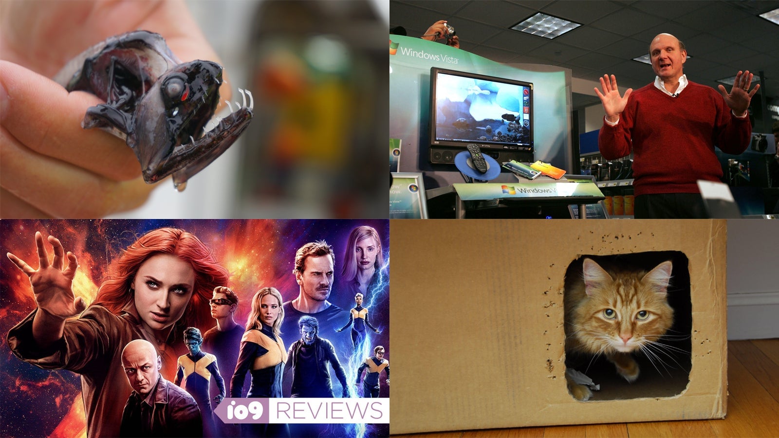 Clockwise from top left: Audrey Valasco (Cell Press); Spencer Platt (Getty); Dwight Sipler (Wikimedia Commons); Fox/Marvel.