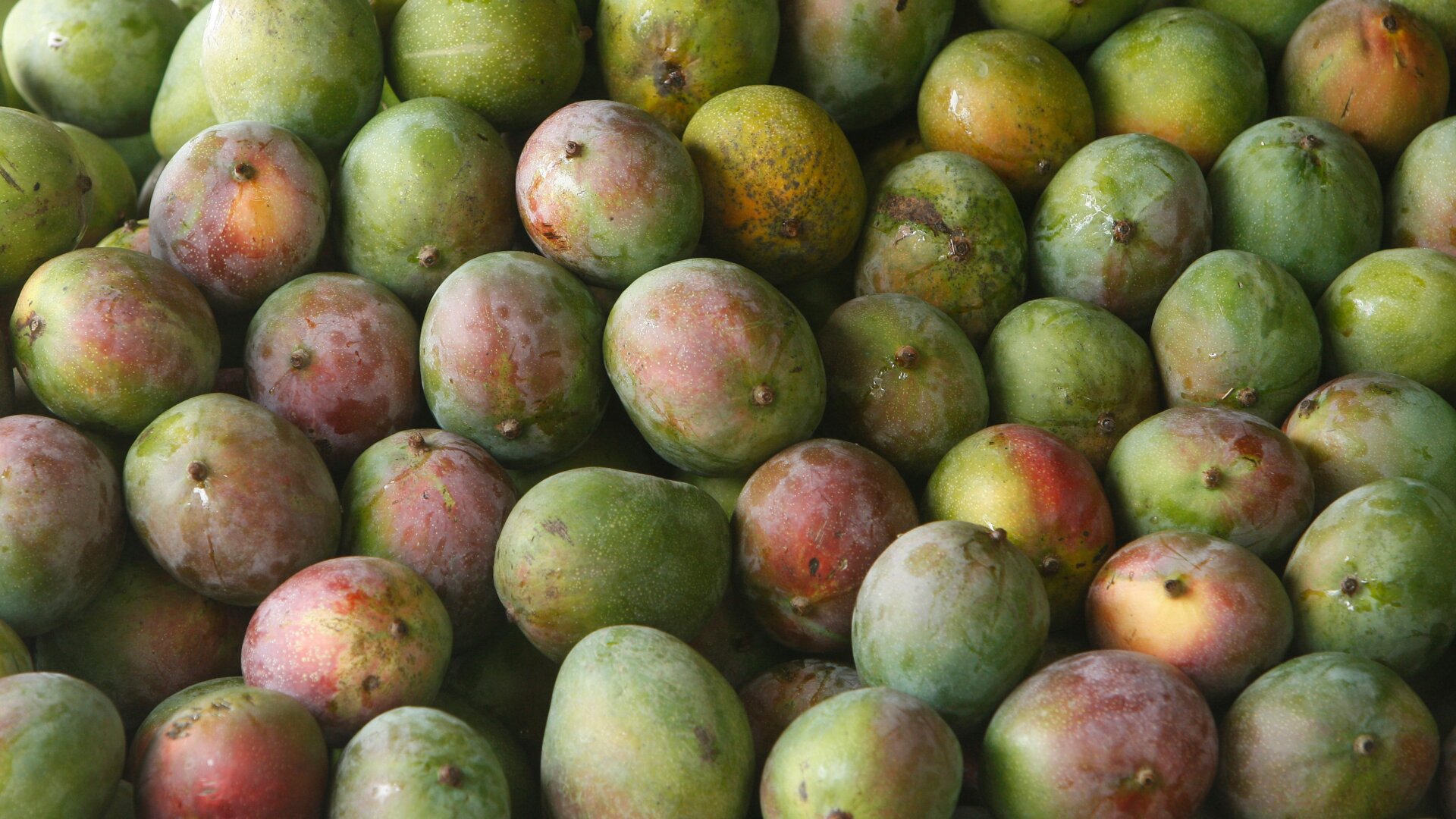 Is this what heaven looks like?