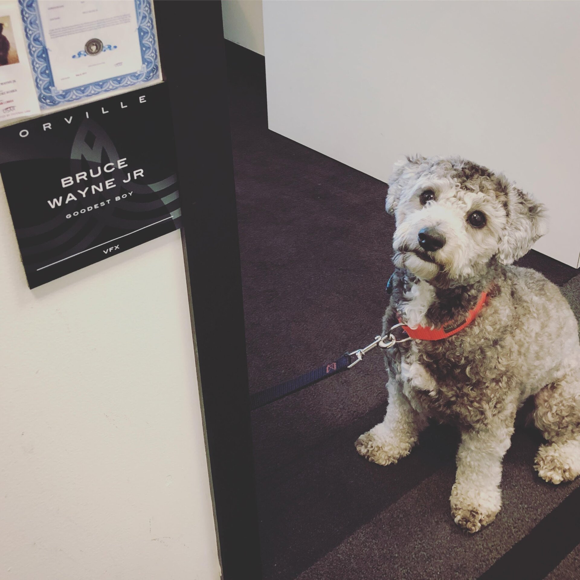 Photo: Courtesy Andre Danylevich and Brooke Noska