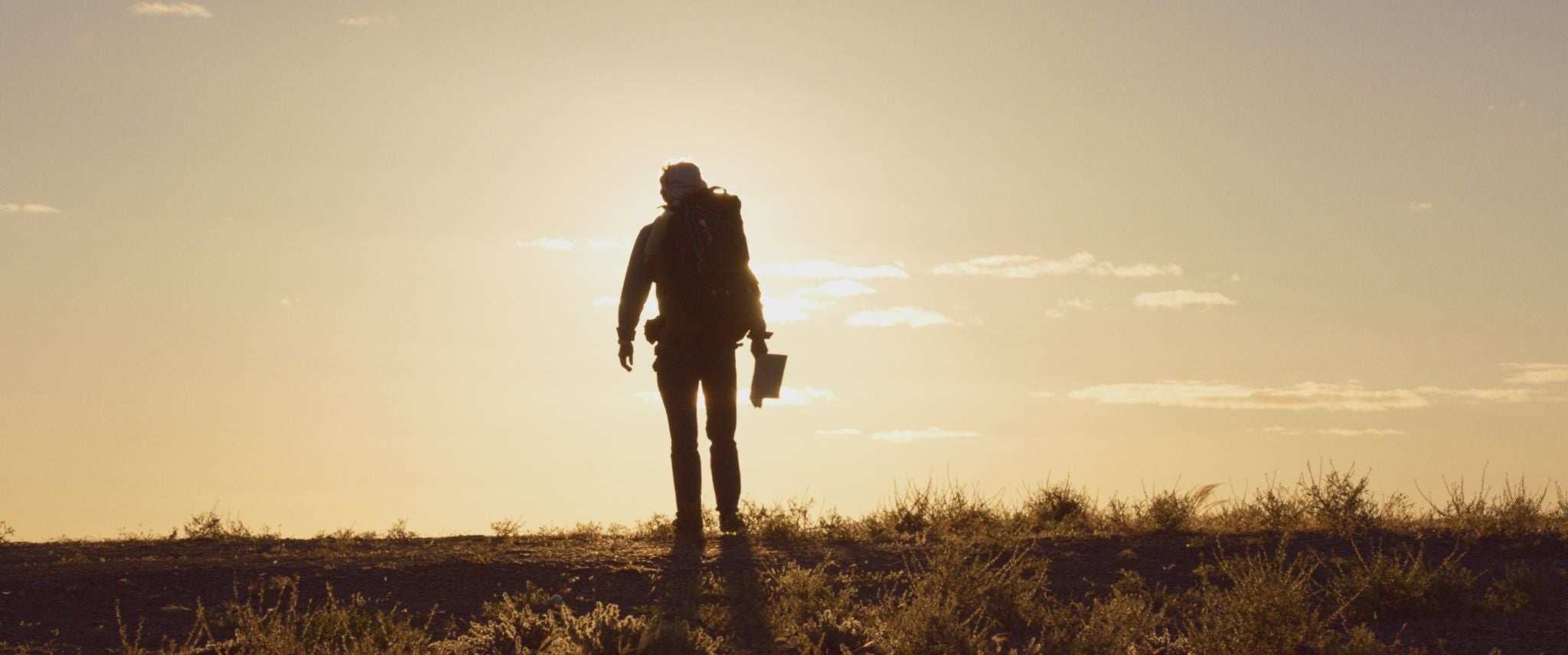 Martin Freeman in Cargo.