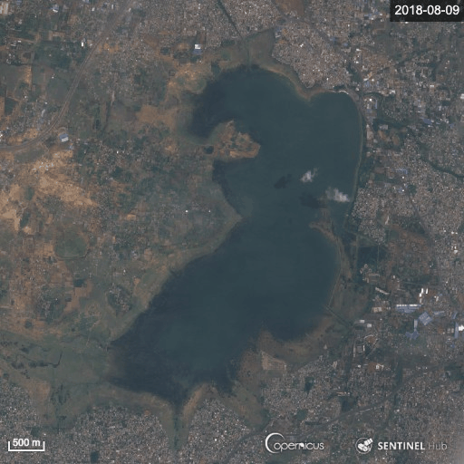 Gif: ESA Sentinel Hub