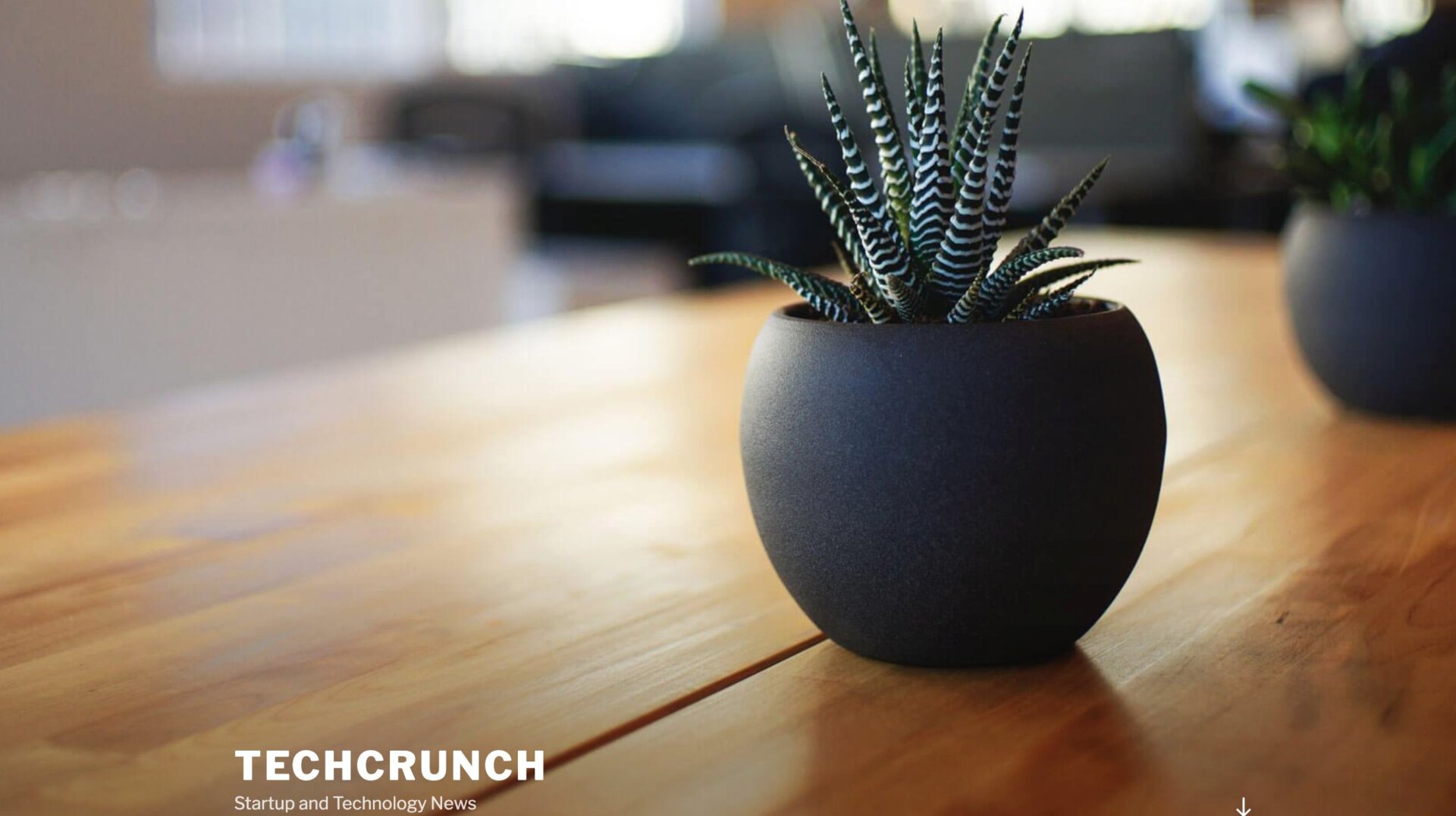 I shall name her Gertrude.