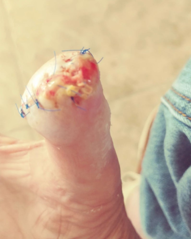 Photo: Shared by attorney Avi Cohen