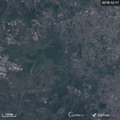 Gif: ESA Sentinel Hub
