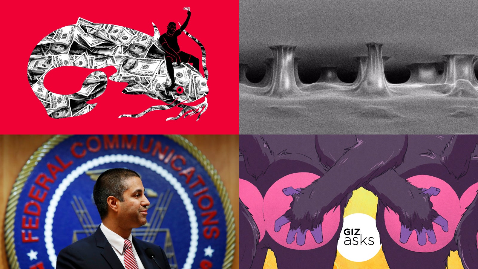 Clockwise from top left: Jim Cooke (Gizmodo); Julien Chopin; Angelica Alzona (Gizmodo); Jacquelyn Martin (AP).