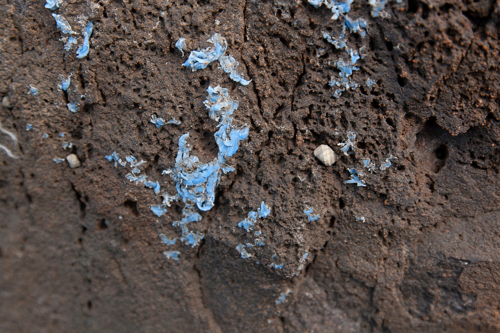 Photo: Ignacio Gestoso